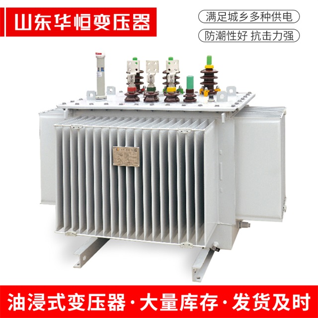 S13-10000/35江达江达江达电力变压器