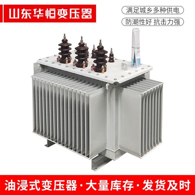 S13-10000/35江达江达江达油浸式变压器厂家